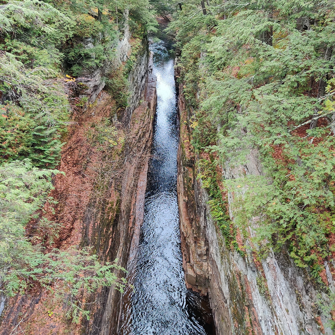 Tea Brew Guide: How Water Quality Affects Flavors & Clarity