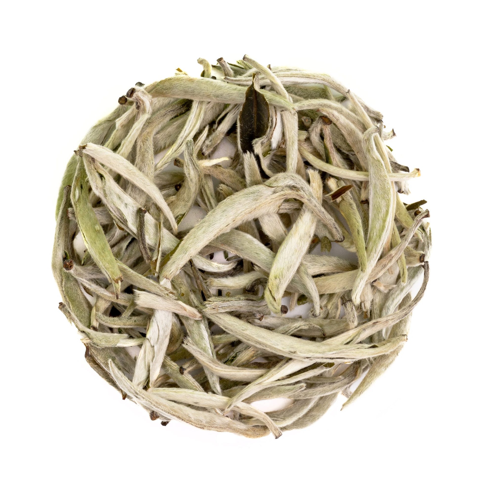 Organic Silver Needle, Artisan Loose Leaf White Tea | Heavenly Tea Leaves